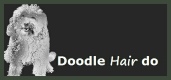 Doodle Hair Do