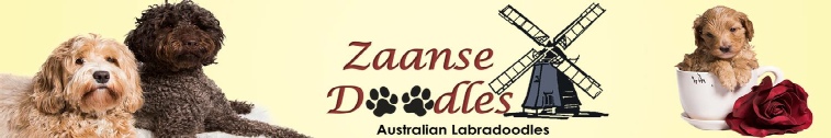 Zaanse Doodles logo