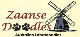 Zaanse Doodles Logo